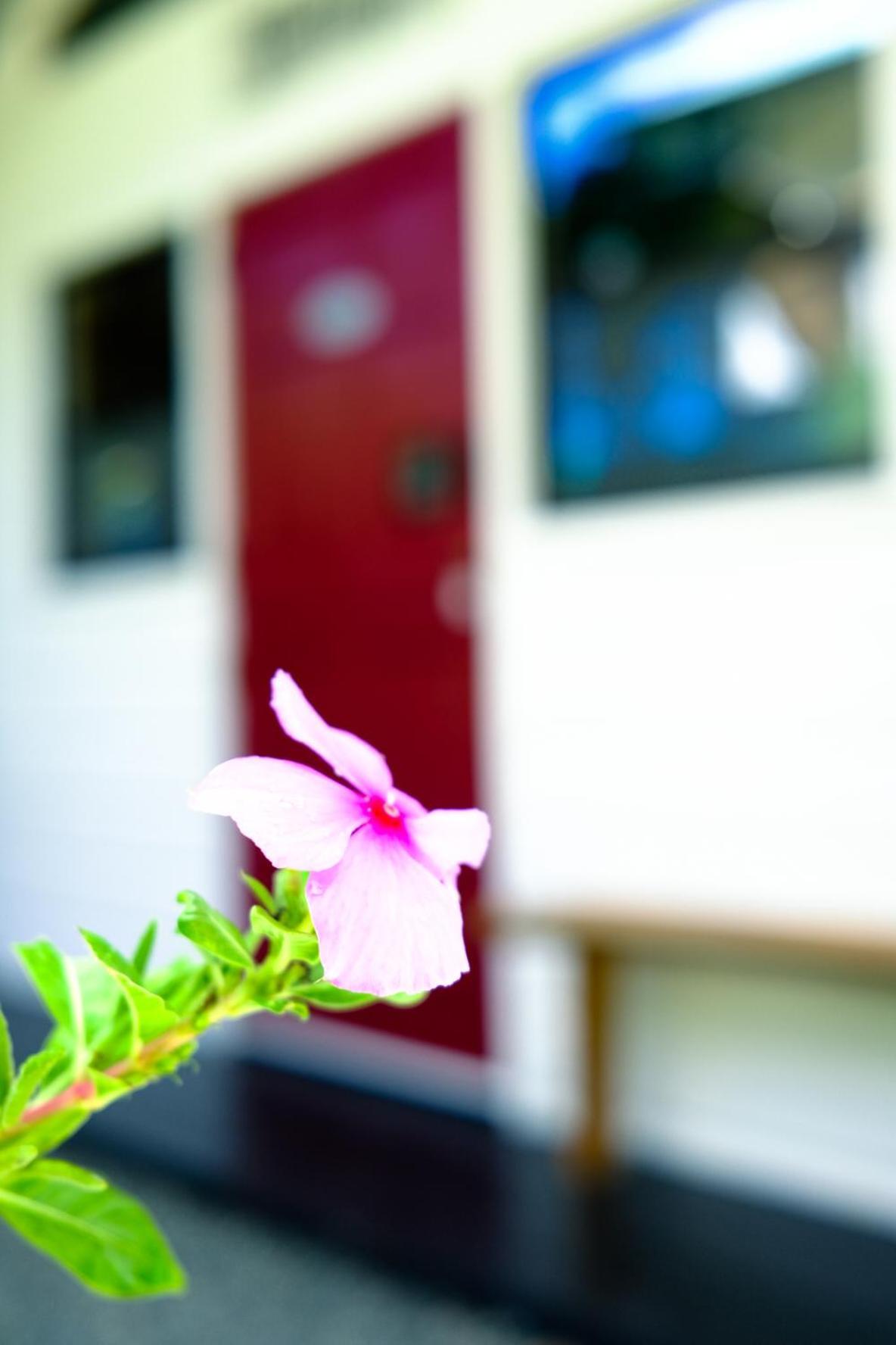 Silk Cotton Cottages Parrot Hall Dış mekan fotoğraf